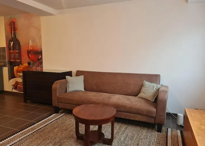 Apartman Familial Equipe - Proche Hopital *